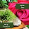 Nutrione NutriOne Essence Granules Flowers and Vegetables Plant Food 10.6 oz 710200A - alternate 5